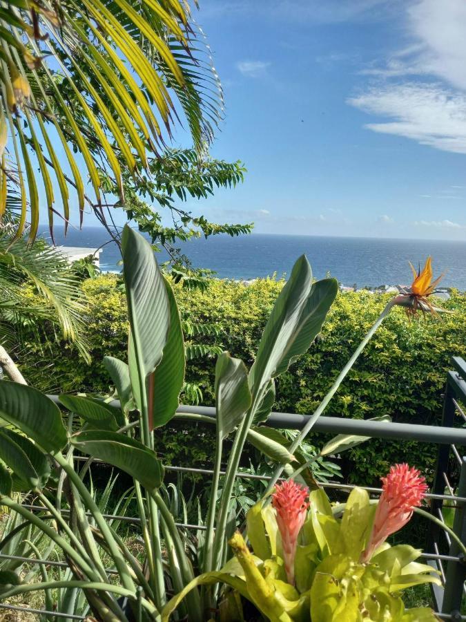 Suite Indigo Jacuzzi Prive Piscine Vue Mer Acces Cuisine Laverie Saint Pierre Esterno foto