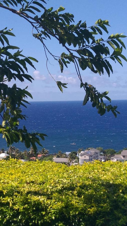 Suite Indigo Jacuzzi Prive Piscine Vue Mer Acces Cuisine Laverie Saint Pierre Esterno foto